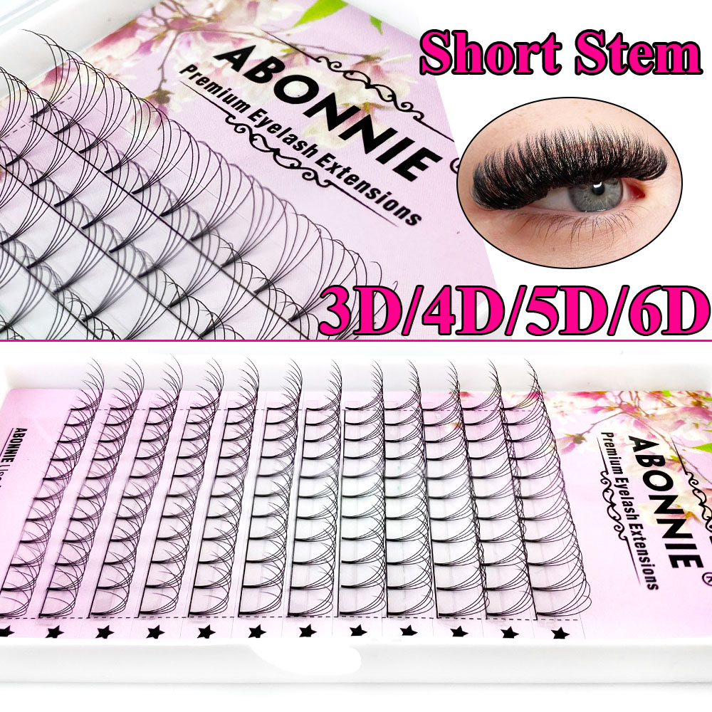 아보니 6D 내로우 팬 프리메이드 팬 러시안 볼륨 팬  - Eyelash Extension Russian Volume 리뷰 및 가격